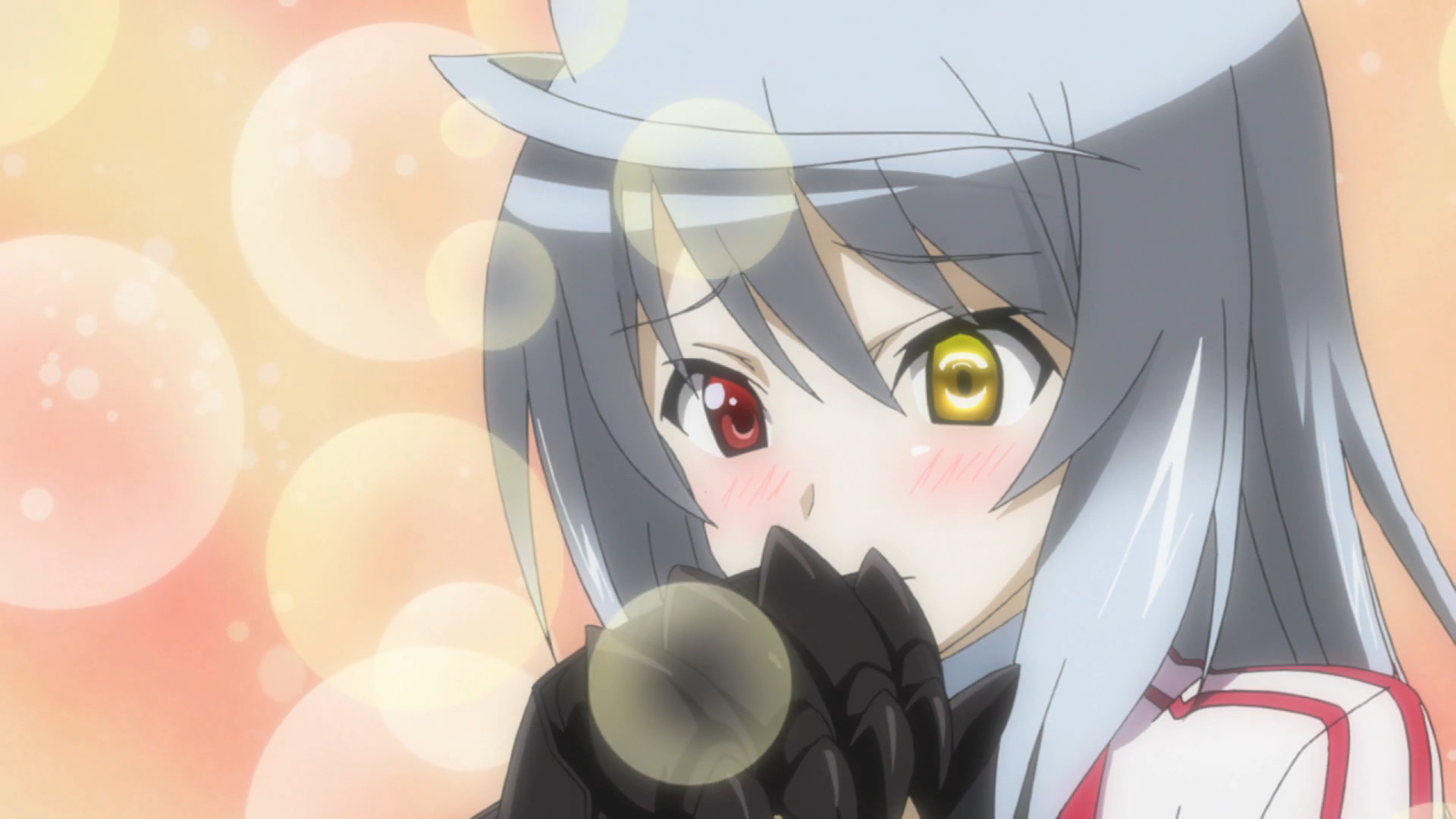 Infinite Stratos Lewd